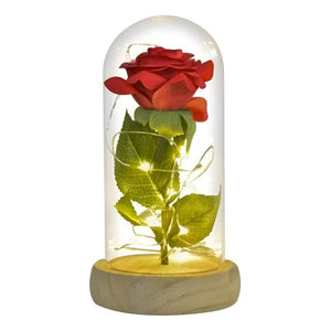 Rosas Eternas Rosa Eterna Rosas Preservada Led San Valentin